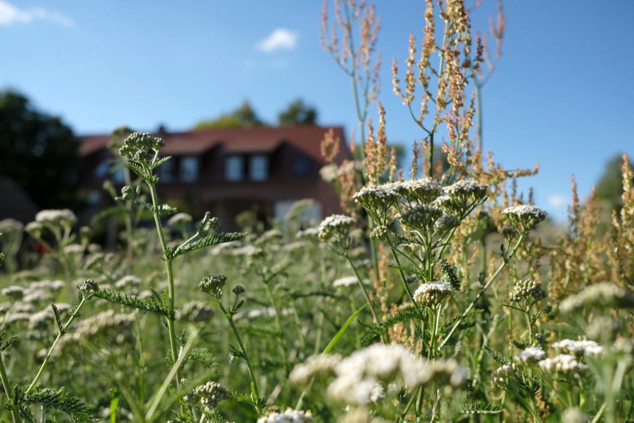 Ferienwohnung Mohnblume Pulzig エクステリア 写真